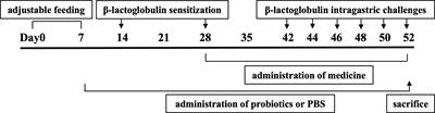 Bifidobacterium animalis KV9 and Lactobacillus vaginalis FN3 alleviated β-lactoglobulin-induced allergy by modulating dendritic cells in mice